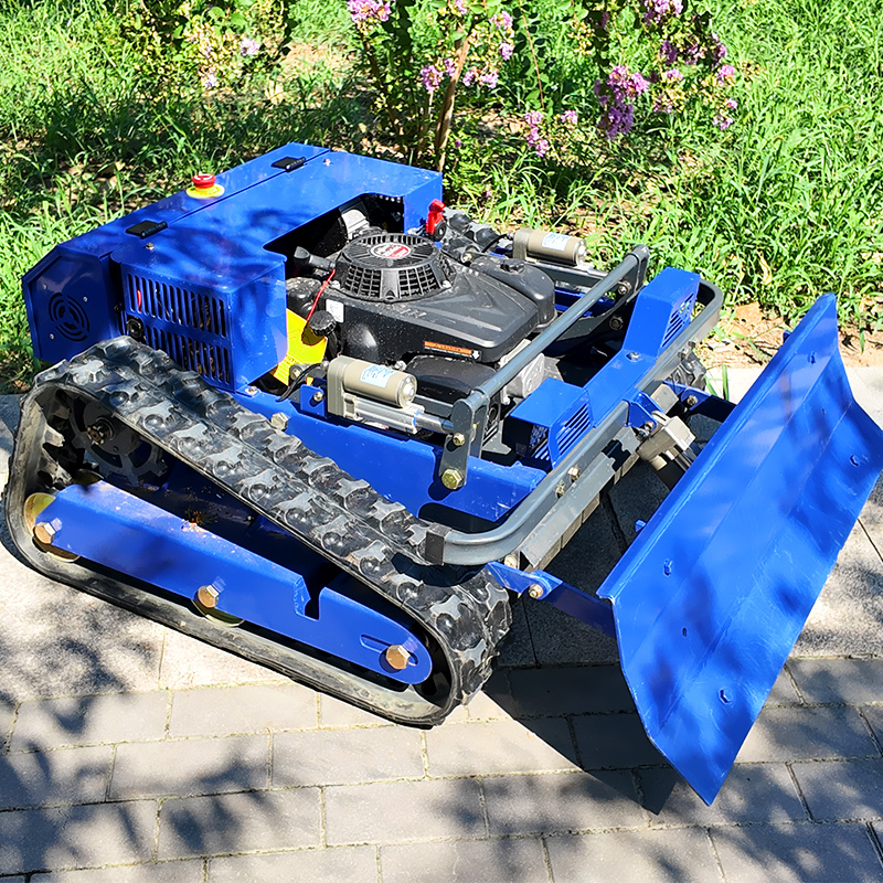 Customized Remote-Controlled B - Hedge Trimmer Cordless avis et prix