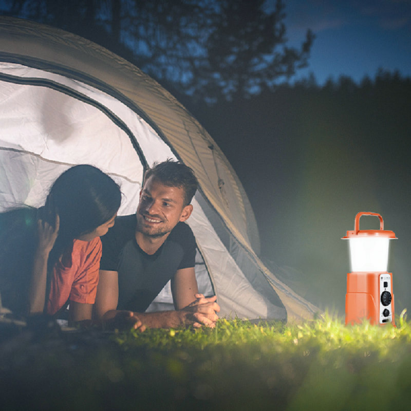 Solar Crank Radio with Light E - Outdoor Power Group avis et prix