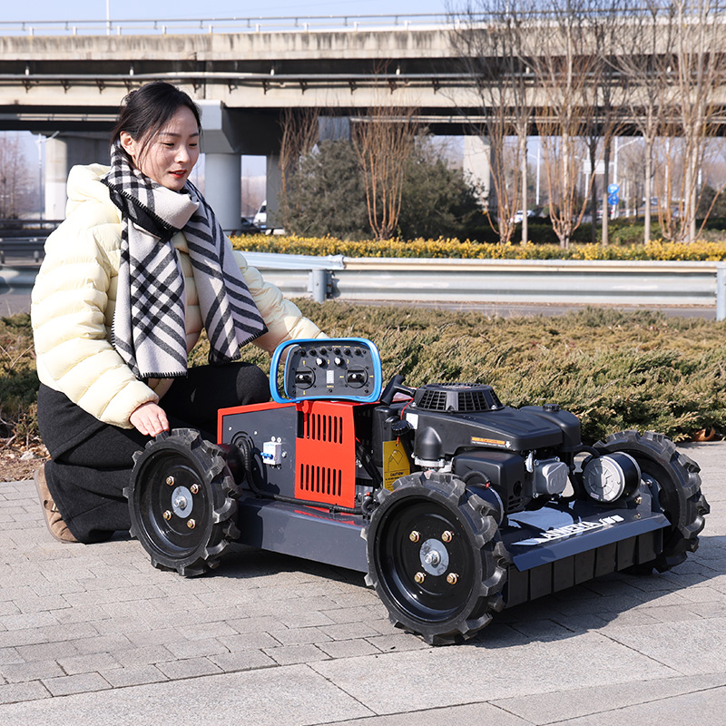Customized Hot Sale Mini Crawl - Hedge Trimmer Cordless avis et prix