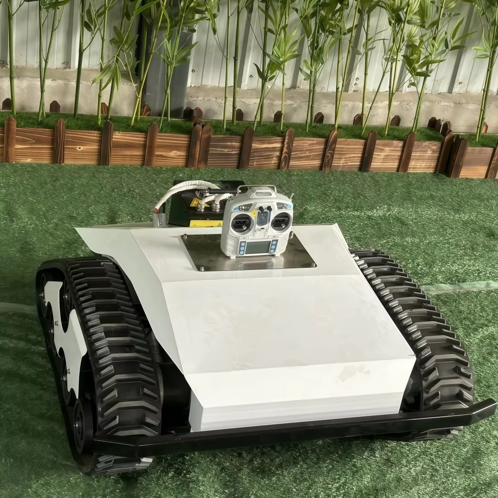 Silent Energy-saving Professio - Lawn Mower Battery avis et prix