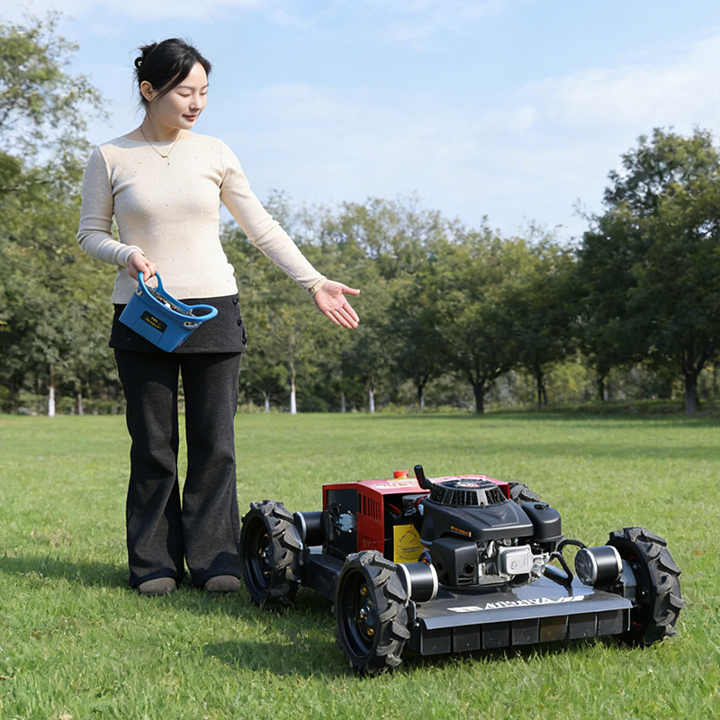 Customized all terrain four-wh - Hedge Trimmer Cordless avis et prix